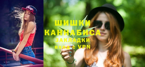 прущие грибы Дмитровск