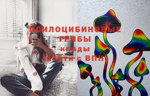 прущие грибы Дмитровск