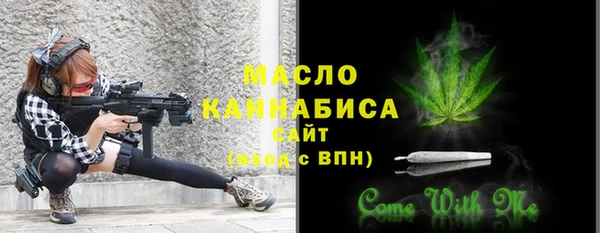 мяу мяу кристалл Гусь-Хрустальный