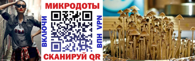 Купить  Кораблино  Галлюциногенные грибы Psilocybe 